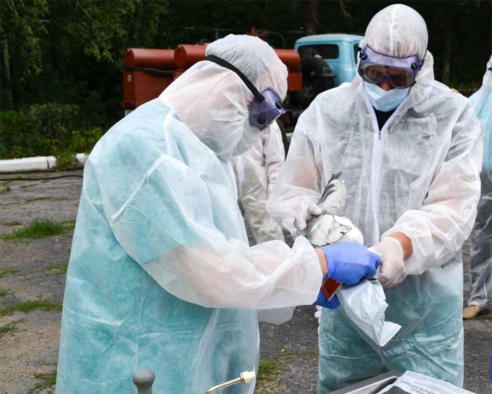 Вывоз трупов умерших животных в г. Воскресенск Московской области