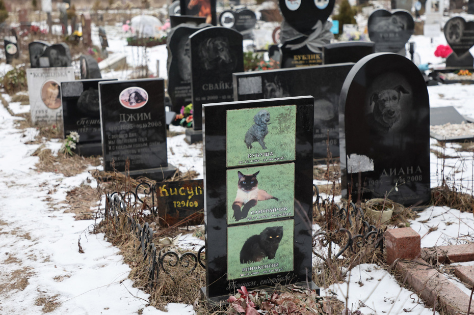 Похоронить животное на официальном кладбище домашних животных в г. Воскресенск Московской области
