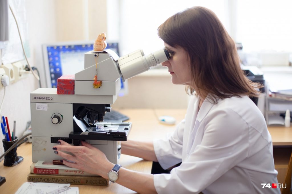 Патологоанатомическое вскрытие животного (собаки, кошки, кролика) в г. Воскресенск Московской области