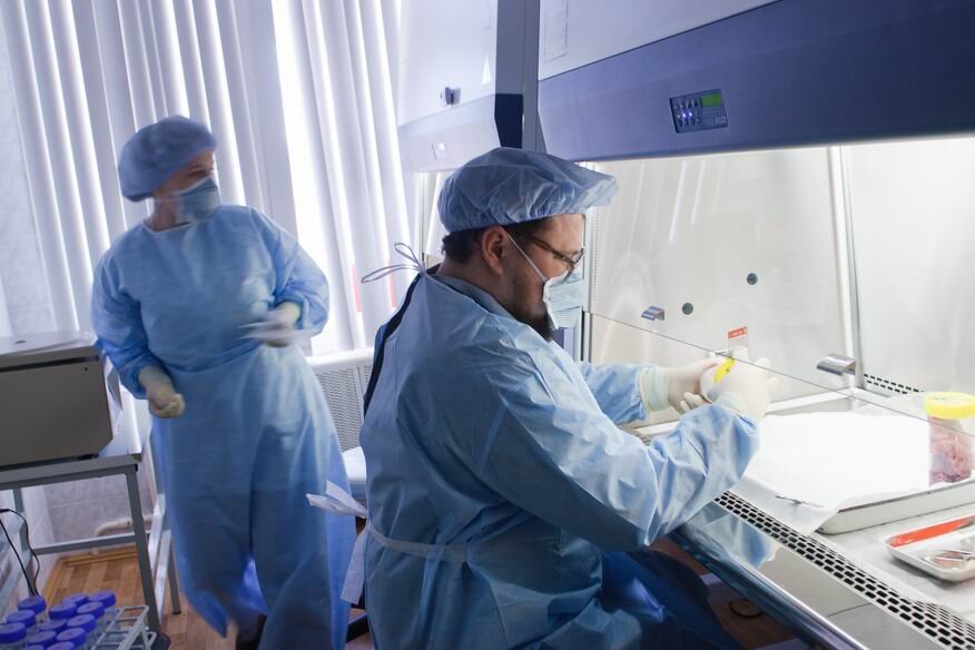 Умерло животное установить причину смерти для суда в г. Воскресенск Московской области